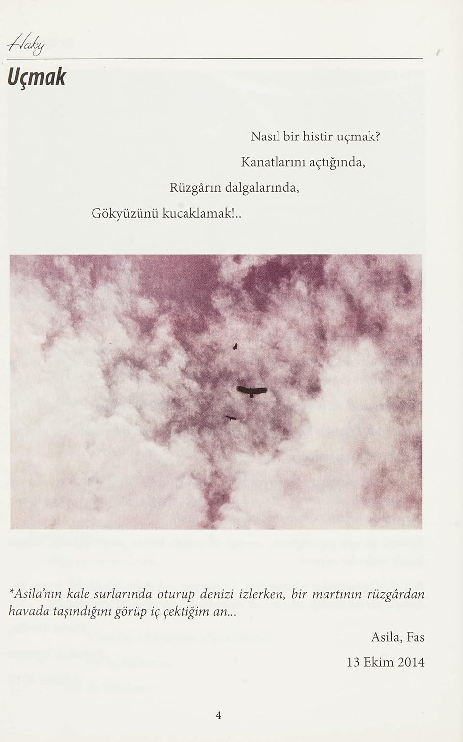 Bir Dünya Şiir